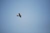 airshow-05-22-2011-072.png